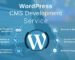 wordpress-website-development-service-provider-company-in-islamabad-pakistan